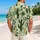 duiyfppz/products/6a60e02cd8af58b14e2de8a3/gallery/0kNwE7fU-u