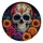 no-hole/5WXljNljt_