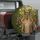 no-hole/HgJSG_Pua4