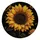 no-hole/OHbv2fCES_