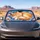 Sleeping Orange Tabby Cat Ocean Waves For Beach Lovers And Coastal Road Trips Car Sunshade - 5