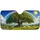 duiyfppz/products/6a61e975d8af58f2362fd52e/gallery/9cIjETLn2Q