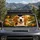 duiyfppz/products/6a61eadebfd30ffb9157a987/gallery/Kzuog316qu