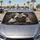 duiyfppz/products/6a61eb046d88387e3c7d734a/gallery/ep5zFdUmEb