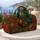duiyfppz/products/6a61eba8b684d37effa88944/gallery/I3YlF73Mps
