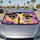 duiyfppz/products/6a61ed5487c3c5f16d57a587/gallery/31kQYsRXGt
