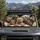duiyfppz/products/6a61eda1a6920ee2ce11d8cd/gallery/f8pOlSTO2f
