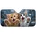 duiyfppz/products/6a61ee5f9081362fb172226d/gallery/RuNCy8FAEs