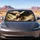 duiyfppz/products/6a61f150bfd30f5b9657b40f/gallery/1Y7VbVJEK7