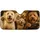 duiyfppz/products/6a61f188b276dc17d85b8a4b/gallery/kWgrZSXz-B