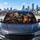Elephant And Cat Night Driving Scene For Wildlife Lovers And Animal Humor Enthusiasts Car Sunshade - 6