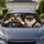 Bulldog And Cat Driving With Flame Wheel For Rebel Road Trips And Pet Lovers Gift Car Sunshade - 1