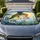 Largemouth Bass Leaping From Water Scene for Fishing Trips and Outdoor Angler Gifts Car Sunshade - 1
