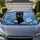 Realistic Black Kitten Among Blue Daisies For Cat Lovers Summer Travel Adventures Car Sunshade - 1