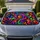duiyfppz/products/6a63385ac6365a8480edfeed/gallery/zsPKCBMwPY
