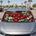 duiyfppz/products/6a63486c218eda79011afcc7/gallery/9ZEl0j33to