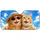 duiyfppz/products/6a640a68b7e9a0bbac59c70f/gallery/em_RXxdwO0