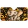 duiyfppz/products/6a640abd7256f661ac3a4137/gallery/AWolT_kklp