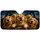 duiyfppz/products/6a640afa4c3c930e7bd57b91/gallery/gkxZ8bR2sj