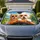 duiyfppz/products/6a640b2f6953fe333835b3d0/gallery/sNCNM8rRZR