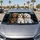 Three Long-Haired Puppies With Bows for Dog Lovers' Daily Commutes and Road Trips Car Sunshade - 5