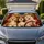 Three Shih Tzu Dogs in a Red Vintage Roadster for Fun Weekend Road Trips and Dog Mom Gifts Car Sunshade - 1