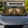 Antique Gold Paisley Florals for Elegant Daily Driving and Luxury Vehicle Interiors Car Sunshade - 1