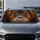 Realistic Orangutan Face With Amber Eyes For Animal Lovers And Safari Style Vehicles Car Sunshade - 6