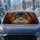 Realistic Orangutan Face With Amber Eyes For Animal Lovers And Safari Style Vehicles Car Sunshade - 4