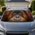 Realistic Orangutan Face With Amber Eyes For Animal Lovers And Safari Style Vehicles Car Sunshade - 1