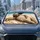 duiyfppz/products/6a65d5644c75b01f0d12aa2e/gallery/LFlTcNcbhg