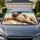 duiyfppz/products/6a65d5644c75b01f0d12aa2e/gallery/ZgNBE82N3o