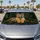 duiyfppz/products/6a65d62acee7462c039d265b/gallery/5eB6jj17HK