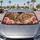 duiyfppz/products/6a65d6636fe5c9208b4b9a40/gallery/7t8zpCgmgh