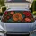 duiyfppz/products/6a65d7676fe5c9a3c44b9b05/gallery/hGPFnqsuhL