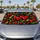 duiyfppz/products/6a65dbe62edfbede243faabe/gallery/GDUBmwVYCR