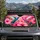 duiyfppz/products/6a65dfd16871611cc18aca57/gallery/jM2Eb1lUK9