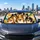 duiyfppz/products/6a65e0472edfbe24193fae1c/gallery/E7c-PT1RMh
