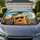 duiyfppz/products/6a65e06acee746b5899d2fad/gallery/TcSJ8ADByh