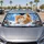 duiyfppz/products/6a65e346cee7463e479d3191/gallery/obRpCYhwPz