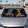 duiyfppz/products/6a65eed72d79a6f934ca37d4/gallery/cyN-uMtYRA
