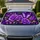 duiyfppz/products/6a65f7432d79a6f182ca3d84/gallery/WsvCBRy_nh