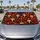 duiyfppz/products/6a65f8736953fe625736b0de/gallery/rzbPs2nBEr