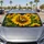 duiyfppz/products/6a65f907cee746aa9e9d4497/gallery/OtHvZUiQdr