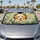 duiyfppz/products/6a65faeab7e9a0709b5ab925/gallery/PuyRl6nTfK