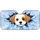 duiyfppz/products/6a65fbf0b7e9a089df5ab9df/gallery/YIp73kVnTS