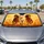 duiyfppz/products/6a65fd4500e08dc171095b70/gallery/j38fpeQBi7