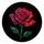 no-hole/o4v7qou8Js