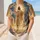 duiyfppz/products/6a6acf97a8f9c66c8d32ed94/gallery/EMIJAmvcaS