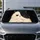 duiyfppz/products/6a6ad15ab7223c48a760dfaf/gallery/cpu9Dh_7SY